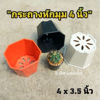 กระถาง 4 นิ้ว หักมุม // กด 12 ใบ 100฿ -- 8 เหลี่ยม หักมุม -- แคคตัส กระบองเพชร กระถางพลาสติก