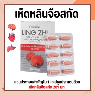 เห็ดหลินจือ เห็ดหลินจือแดงกิฟฟารีน LING ZHI MUSHROOM GIFFARINE