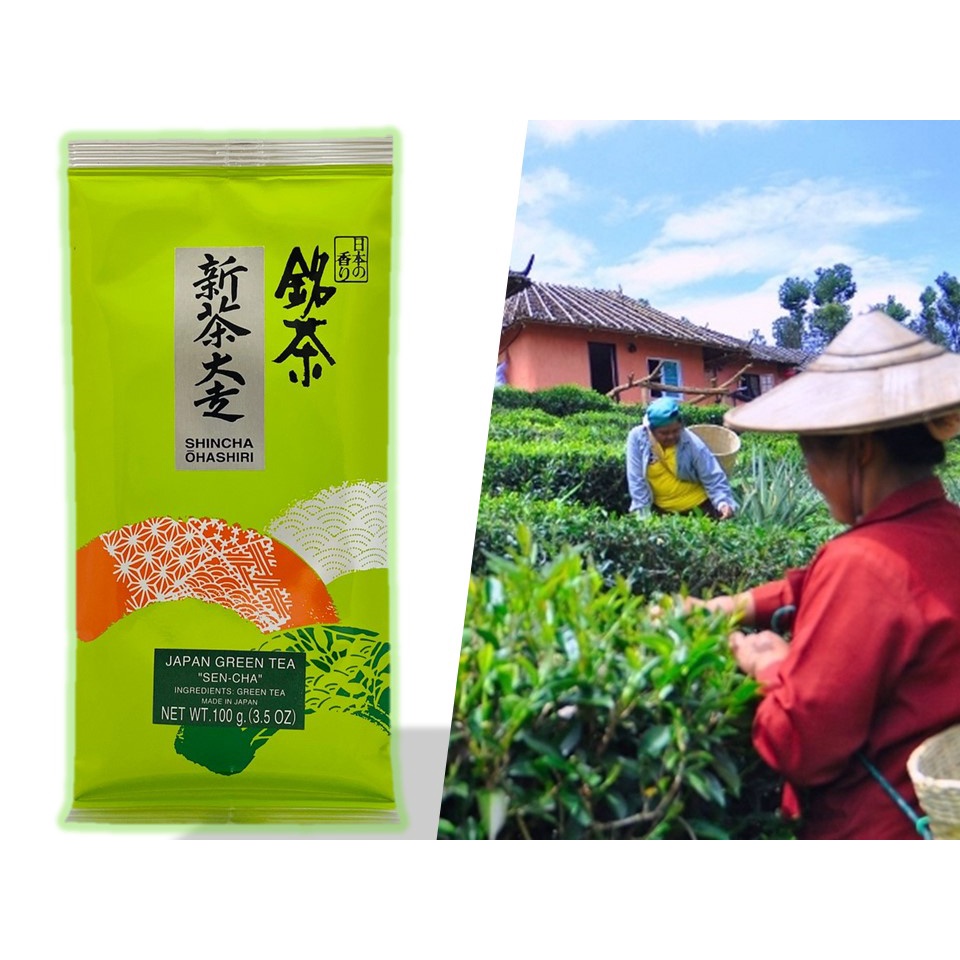 ชาเขียวญี่ปุ่น เซนชา 100 กรัม Makotoen Japanese GreenTea Sencha 100 g