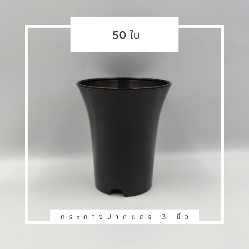 กระถางปากแตร 3 นิ้ว แพ็ค 50 ใบ แคคตัส ทรงสูง
