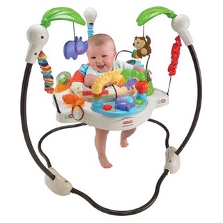 Fisher-Price Luv U Zoo Jumperoo