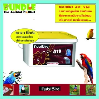 NutriBird A19 3 Kg. อาหารนกลูกป้อน อาหารลูกป้อน สำหรับลูกนกที่ต้องการพลังงานไขมันสูง ขนาด 3 กิโลกรัม