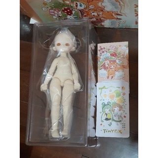 *พร้อมส่ง*Tiny Fox 1/6 นู้ดดอล บอดี้ขาอวบ เฮ้ด C13