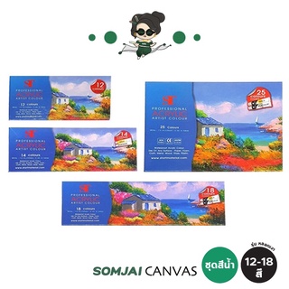 ST - เอสที Acrylic Colours Set ชุดสีอะคริลิค รุ่น หลอดเงา 12 -  25 สี