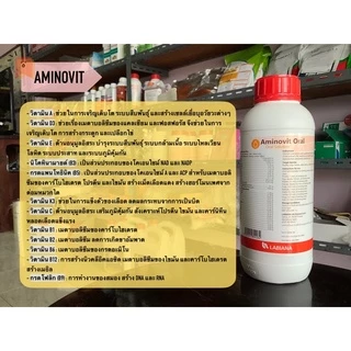 อะมิโนวิทออรัล aminovit oral วิตามินกรดอะมิโนสำหรับสัตว์เลี้ยงลูกด้วยนม สัตว์ปีกในช่วงผลผลิตสูง