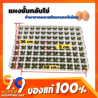 แผงชั้นวางไข่ สำหรับตู้ฟักไข่ทำเอง ใส่ไข่ไก่ได้ 88ฟอง มีของพร้อมจัดส่ง