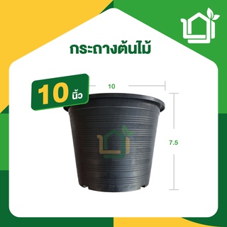 กระถางต้นไม้ 10 นิ้ว กระถางพลาสติก กระถาง