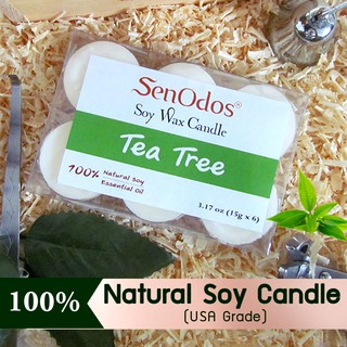 SenOdos Tealight Set Tea Tree Soy Candles เทียนหอมอโรม่า กลิ่นทีทรีออยล์แท้ 15 g. (6 ชิ้น)