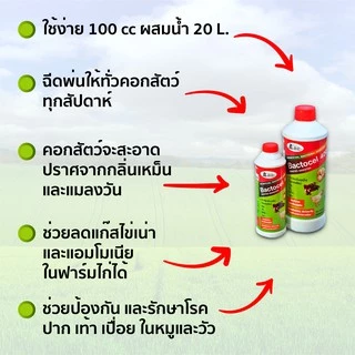 Bactocel 4001 300cc* จุลิทรีย์กำจัดกลิ่นเหม็นคอกสัตว์ แบคโตเซล ลดแมลงวัน กำจัดกลิ่นมูลสัตว์ ลดกลิ่น
