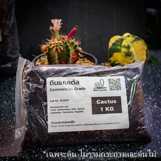 (ถุง1โล)🌵ดินปลูกแคคตัสราคาส่ง 20 บาท พร้อมปลูก ดินปลูกกระบองเพชร ระบายน้ำดี มีกันเพลี้ย รา 1kg 1กก.