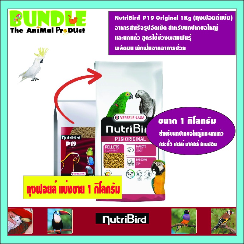 NutriBird  P19 Original 1Kg (ถุงฟอยล์แบ่ง) อาหารสำเร็จรูปอัดเม็ด สำหรับนกปากขอใหญ่  และนกแก้ว สูตรใช
