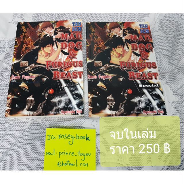 MAD DOG & FURIOUS BEAST /แปลวาย / yaoi /เล่ทเดียวจบ