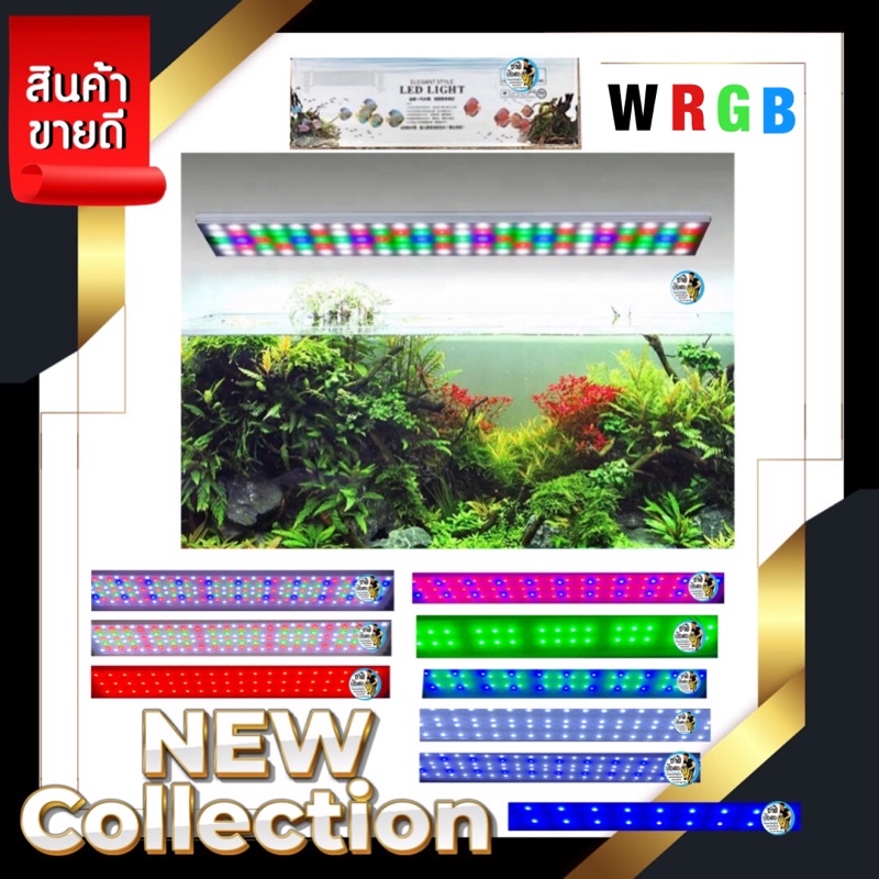 My Image 10