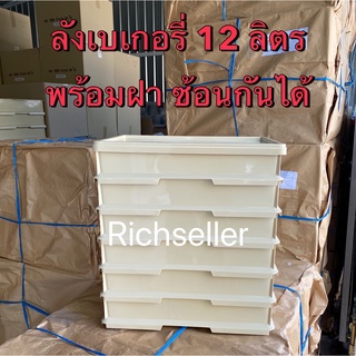 ลังเบเกอรี่ ลังใส่ขนม ลังพลาสติก 12 ลิตร ลังใหญ่ ลังสี่เหลี่ยม พร้อมส่ง