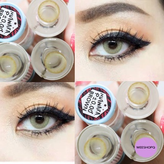 nutwara brown  Sweety Plus(สวีทตี้ พลัส)  คอนเเทคเลนส์ บิ๊กอาย  เเฟชั่น/สายตา