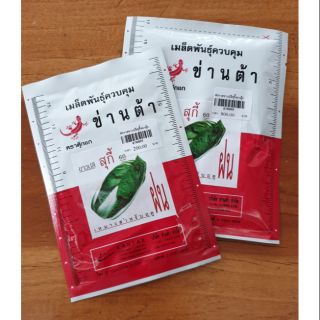 🥬ผักกาดขาวปลี ตราตุ๊กแก(สำหรับฤดูฝน)