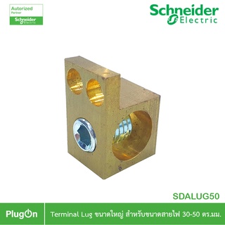 Schneider Electric SDALUG50 อุปกรณ์เสริมสำหรับตู้คอนซูมเมอร์ยูนิต Terminal Lug ขนาดใหญ่สำหรับสายไฟขนาด 30-50 ตร.มม.