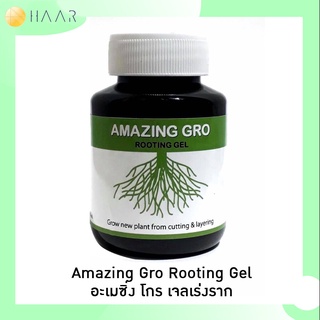 AmazingGro เจล น้ำยา เร่งราก พืช ต้นไม้ ไม้ดอก ไม้ประดับ แคคตัส สูตรเข้มข้น ใช้งานง่าย เหมาะกับการตอนกิ่ง ปักชำ ป้ายห...