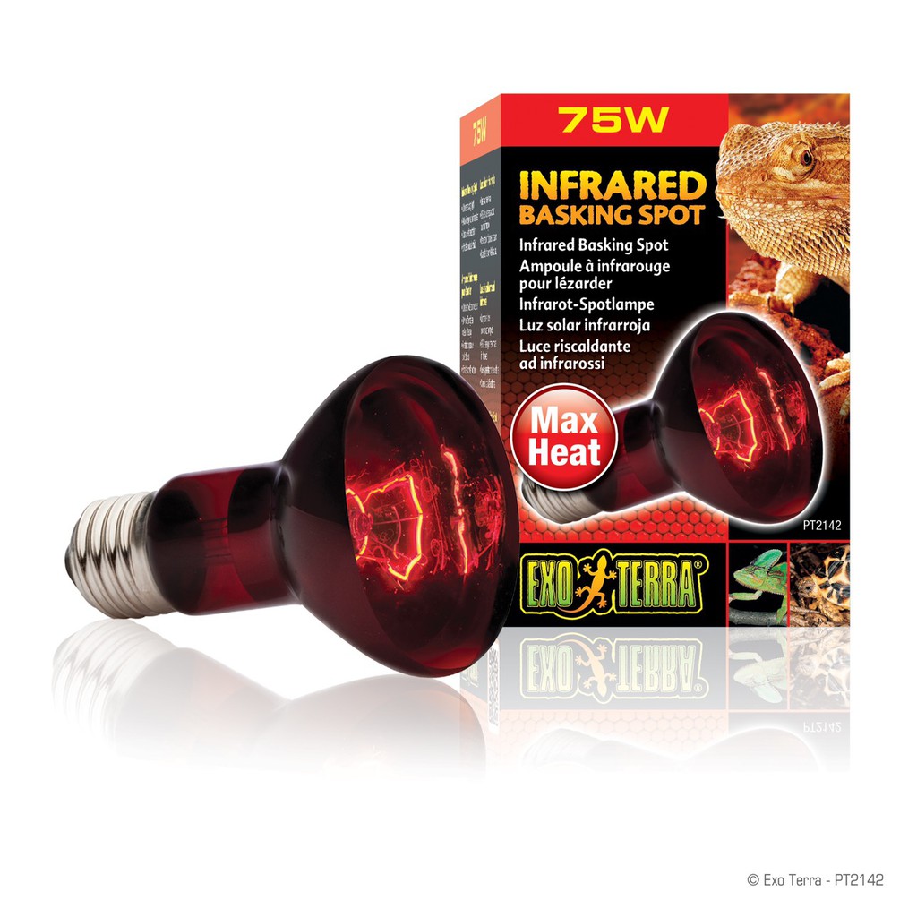 [แนะนำ] Exo-Terra หลอดไฟอินฟาเรดให้ความร้อน กลางคืน Infrared Basking Spot สำหรับเต่าบก เบียร์ดดราก้อน ยี่ห้อดัง ไว้ใจได้