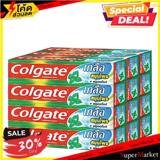 🔥*พร้อมส่ง*🔥 คอลเกต ยาสีฟัน สูตรเกลือ สมุนไพร ขนาด 35 กรัม แพ็ค 12 กล่อง Colgate Toothpaste Salt Herbal 35 g x 12
