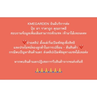 🐞แมลง🐞 อาปาเช่ ขนาด 500 กรัม ไซเปอร์เมทริน ยากำจัดมด ยาโรยมด ตัวสามง่าม แมลงคลาน กิ้งกือ ตะขาบ เบื่อปู