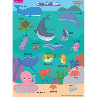 MISBOOK โปสเตอร์พลาสติก Sea Animals (ใช้กับ Talking Pen)