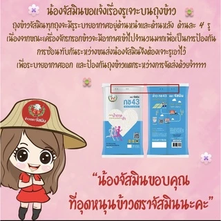 จัสมิน ข้าวหอมมะลิใหม่ต้นฤดูแท้ 100% (ปี68/69) Limited Edition ขนาด 5กก.X3 ถุง