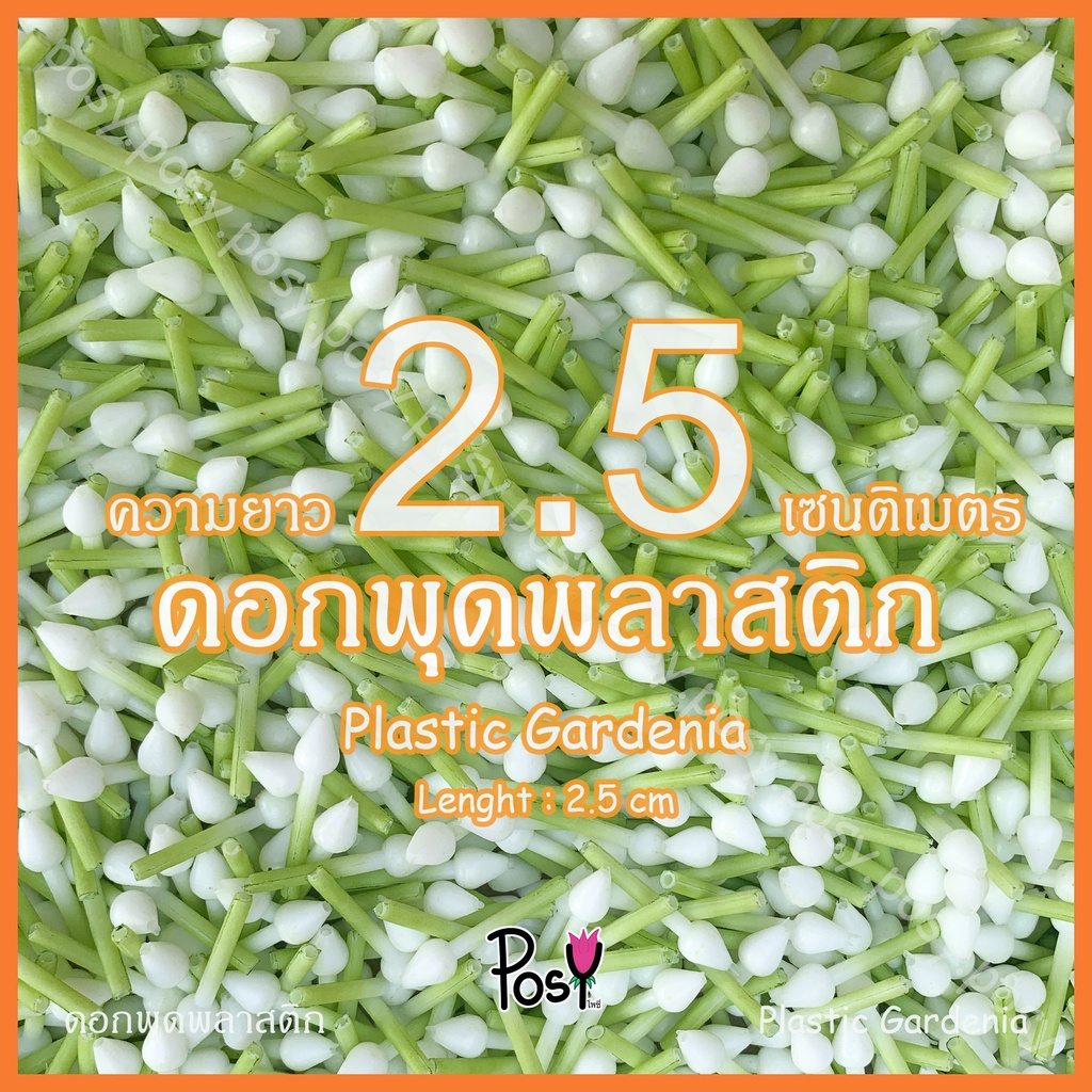 🌼ดอกพุดพลาสติก ดอกพุดก้านร้อยตาข่าย พุดพลาสติกร้อยมาลัย🌼 "มีรูให้ร้อยเข็ม" ความยาว 2.5 cm 📏 ส่งไว 🚛⚡️ งาน Hand-Made ✌🏻