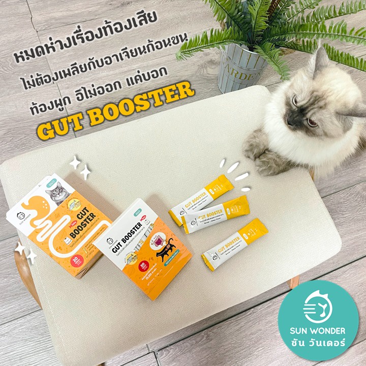 Gut Booster ผงโพรไบโอติก สำหรับแมว ปรับสมดุลลำไส้ แก้ท้องเสีย ท้องผูก อาเจียน เสริมภูมิ - รูปที่ 6