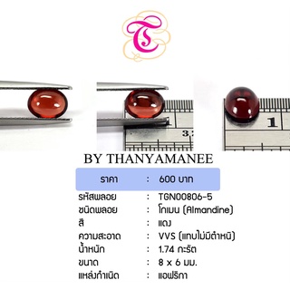 พลอยโกเมนหลังเบี้ย  Almandine ขนาด 8x6 มม. พลอยแท้ มีใบรับรอง