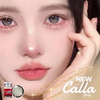 บิ๊กอายประกายชิมเมอร์ Calla gray/brown