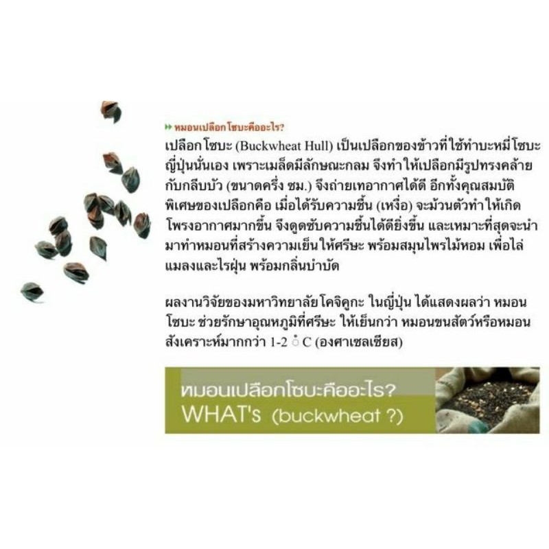 โปรแพค L+ปลอก แถมหมอน S รองรับเยี่ยม หายปวดคอ ปวดบ่า ลดกรน ได้คุณภาพการนอนที่ดี ราคา ถูกที่สุด ดีลบีเคเค แกลเลอรีภาพที่ 6