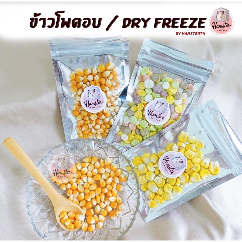 [Hamsterth] ขนม ข้าวโพดอบแผ่นหลากสี สำหรับสัตว์เลี้ยง อาหาร แฮมสเตอร์ แฟตเทล