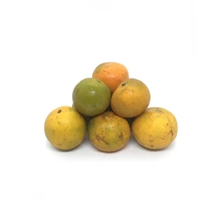 🍊ส้มสายน้ำผึ้ง [👍ใช้คั้นน้ำ 💲เบอร์ลาย] ขอคนเข้าใจส้มเบอร์ลาย - ส้มสำหรับคั้นน้ำขาย