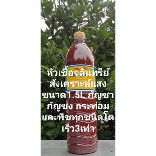 หัวเชื้อจุลินทรีย์สังเคราะห์แสง1.5ลิตร1ขวดพร้อมวิธีการใช้และขยายเชื้อ