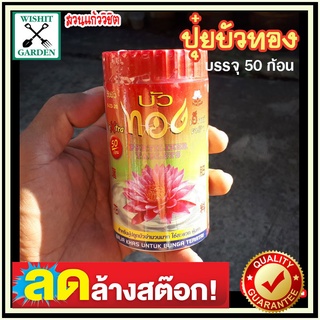 ปุ๋ยบัว ตราบัวทอง 1 กระปุก บรรจุ 50 เม็ด สูตร 9-23-30 (N-P-K) ปุ๋ยใส่ไม้น้ำ ปุ๋ยเร่งให้บัวออกดอก ดอกบัวสีสด กรีบบัวใหญ่แ