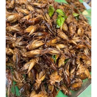จิ้งโกร่งไข่ทอด (จิ้งหรีดขาว) แมลงทอดตามออเดอร์ สดใหม่ทุกวัน