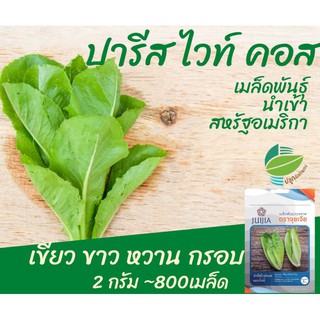 คอส ~800 เมล็ด (Paris White Cos)​ #ผักสลัด #cos #เมล็ด​พันธุ์ #สลัด​