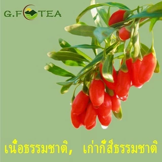 โกจิเบอร์รี่ เก๋ากี้ 青海大粒红枸杞 ขนาด500กรัม เมล็ดใหญ่ เม็ดใหญ่ เกรดAAA ผลของการล้างตับและตา 枸杞