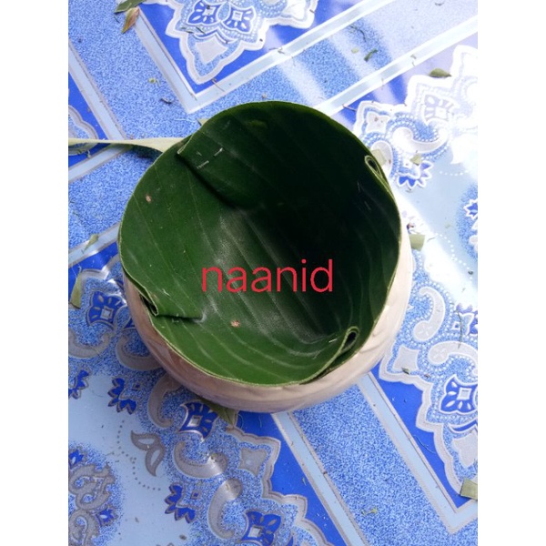 My Image 60