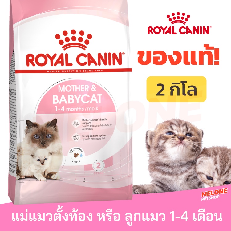 Royal Canin Babycat รอยัลคานิน อาหารลูกแมว อายุ 1-4 เดือน แม่แมวท้อง-ให้นม ขนาด 2kg