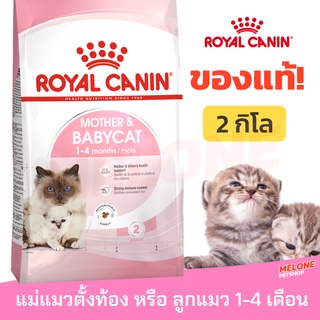 [หมดอายุ 01/2024] Royal Canin Babycat รอยัลคานิน อาหารลูกแมว อายุ 1-4 เดือน แม่แมวท้อง-ให้นม ขนาด 2kg