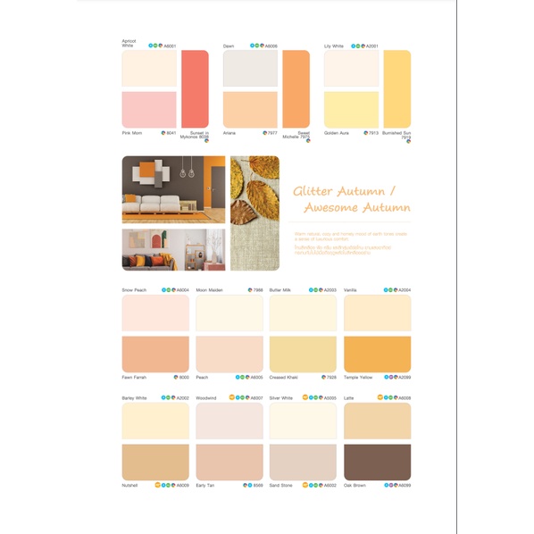 สีทาบ้าน TOA โฟร์ซีซั่นส์ ภายนอกและภายใน ด้าน / กึ่งเงา 4 seasons ขนาด 2.5 แกลลอน หรือประมาณ 9 ลิตร - รูปที่ 3