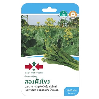 ผักกาดกวางตุ้งดอกสองฝั่งโขง ศรแดง PAK CHOI SEED EAST-WEST SEED SONGFANGKLONG