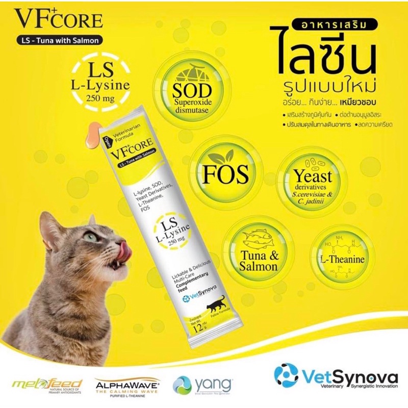 VFcore Lysine RB 1x30 ซอง กล่องงงงง