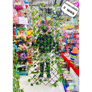 [ถูกที่สุด] รั้วระแนงไม้สำเร็จรูป สูง 120 cm. ทำจากไม้แท้ ขนาดใหญ่‼️ รั้วยืดได้ รั้วไม้ รั้ว รั้วพร้อมเถาวัลย์ยืดได้