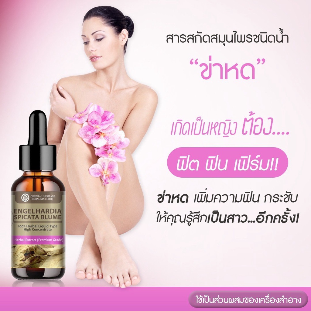 สารสกัดสมุนไพร ข่าหด (Engelhardia Spicata Blume) เข้มข้นสูง ชนิดน้ำ ขนาด 25 มล. ราคา ถูกที่สุด ดีลบีเคเค