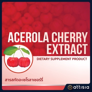 Acerola Cherry Extract สารสกัดอะเซโรลาเชอร์รี่