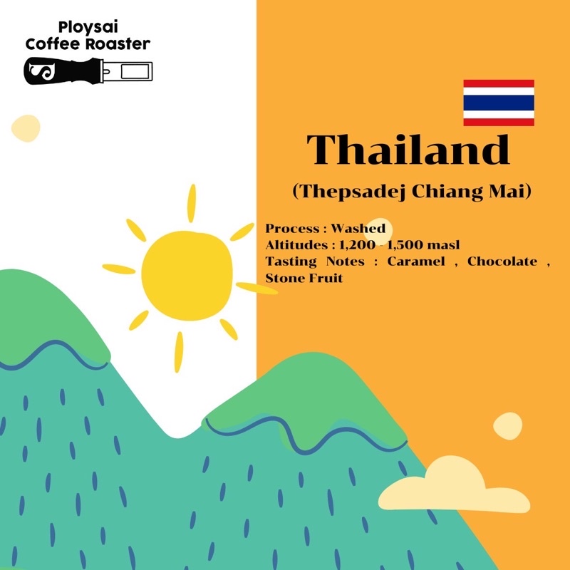 เมล็ดกาแฟเทพเสด็จ เชียงใหม่ (Thepsadej)