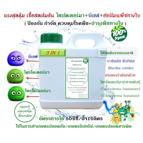 ไตรโคเดอร์มา + บีเอส +ฮอร์โมนพืชทางใบ เชื้อสดชนิดน้ำ เข้มข้น พร้อมใช้ ป้องกัน กำจัดโรคพืชและบำรุงฮอร์โมนพืชทางใบ